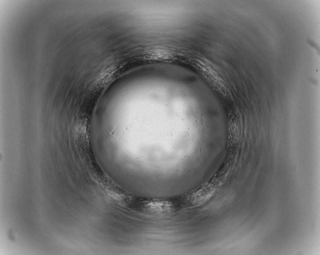 X0000096990415200802221502