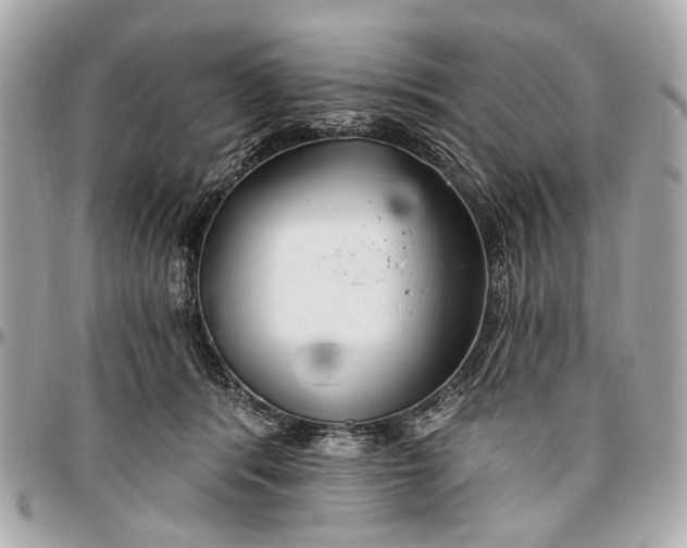 X0000096990416200802221502