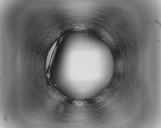 X0000096990417200802221502