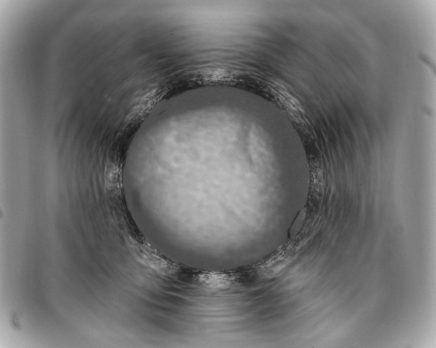 X0000096990419200802221502