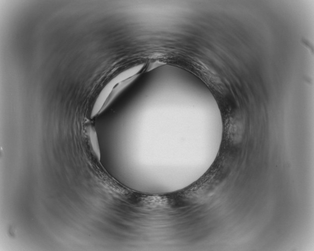 X0000096990421200802221502