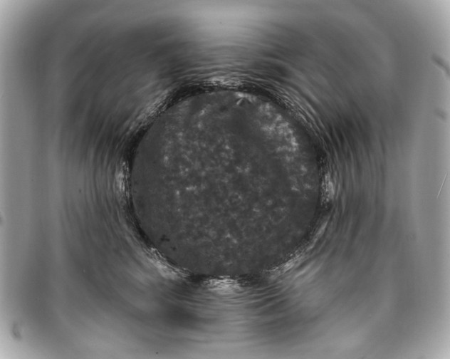 X0000096990424200802221502