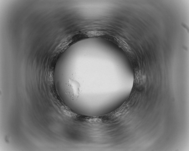 X0000096990426200802221502