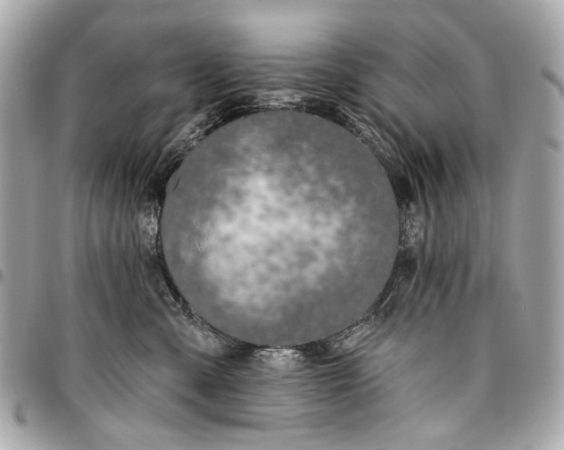 X0000096990427200802221502