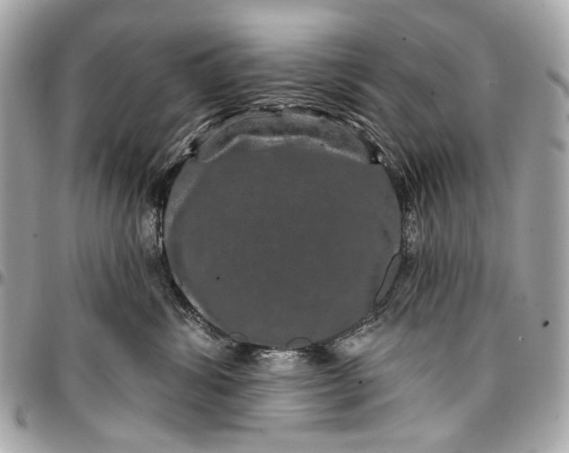 X0000096990428200802221502