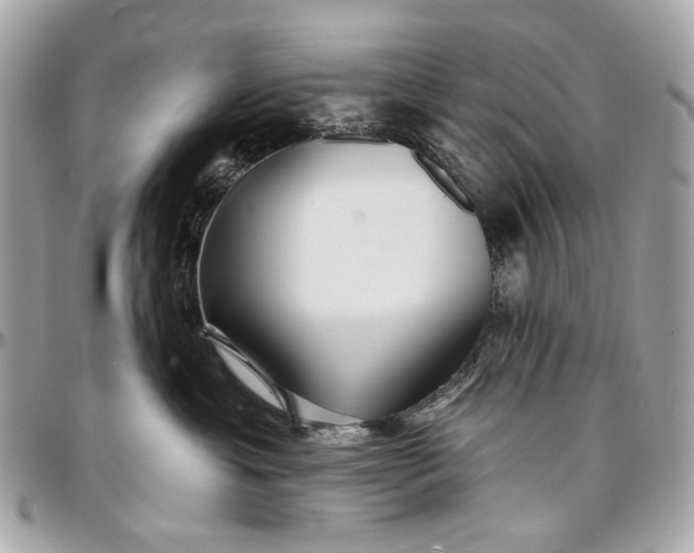 X0000096990429200802221502