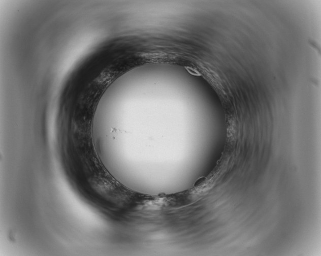 X0000096990430200802221502