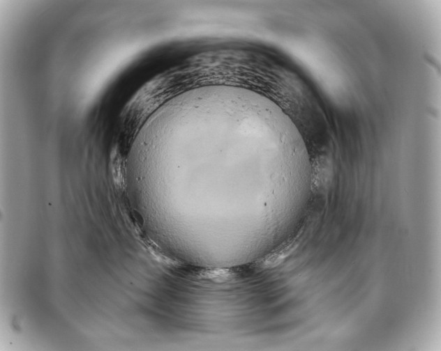 X0000096990431200802221502