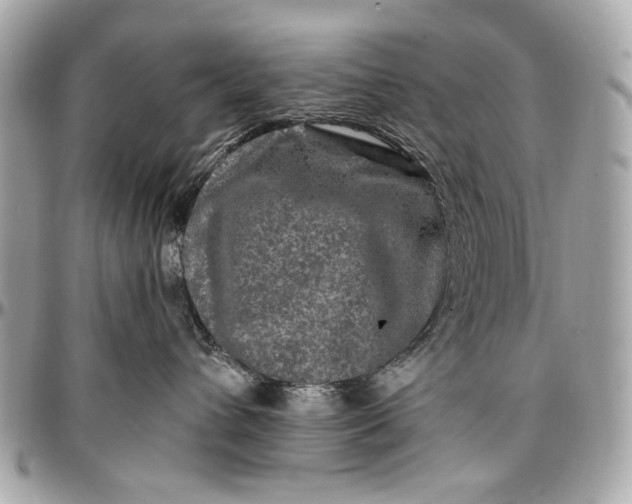 X0000096990432200802221502