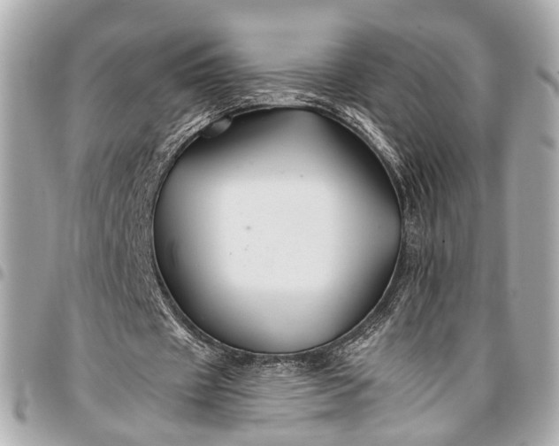 X0000096990433200802221501