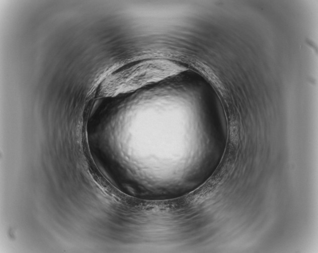 X0000096990434200802221501