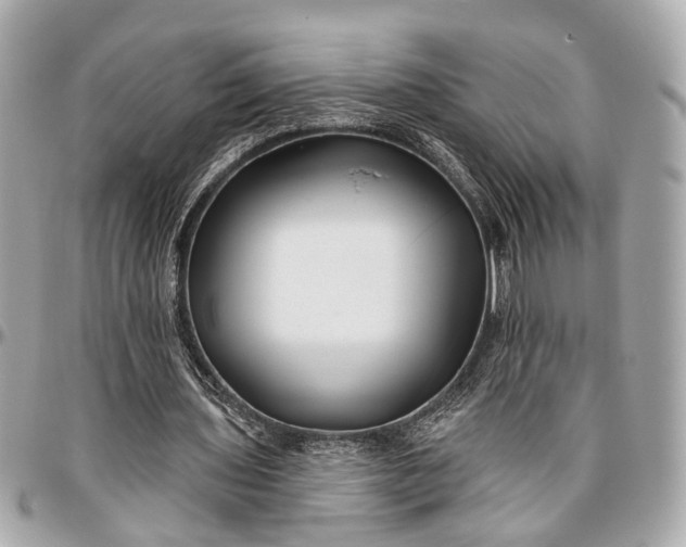 X0000096990435200802221501