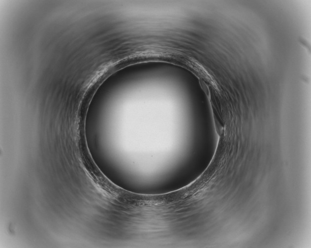 X0000096990436200802221501