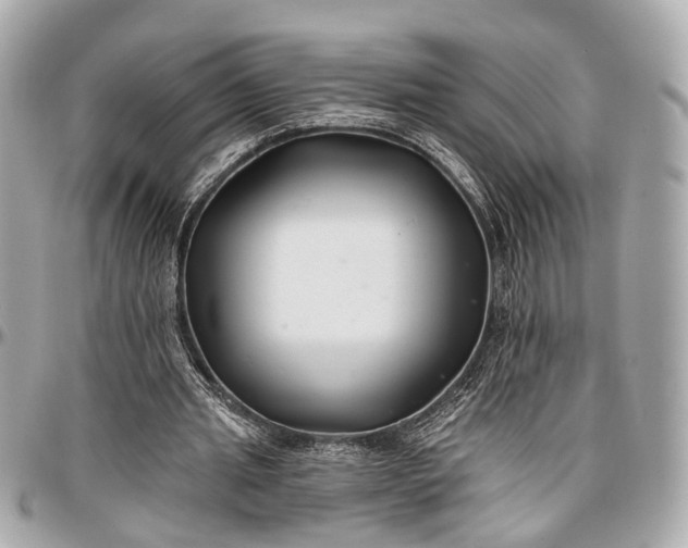 X0000096990437200802221501