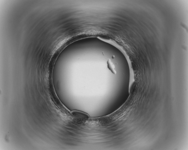 X0000096990440200802221501