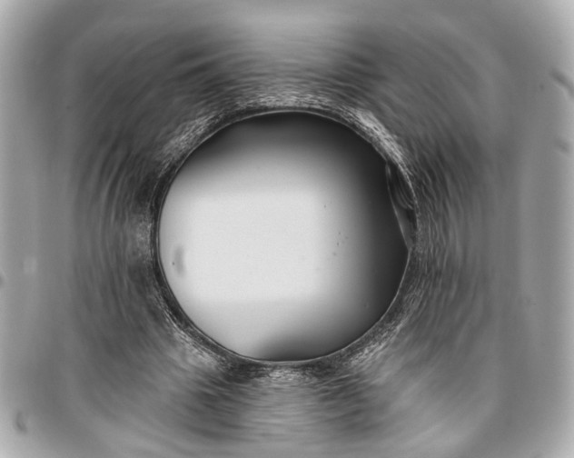 X0000096990441200802221501