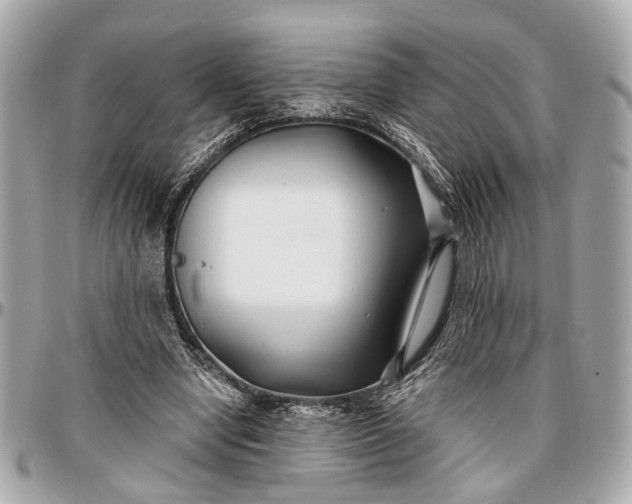 X0000096990442200802221501