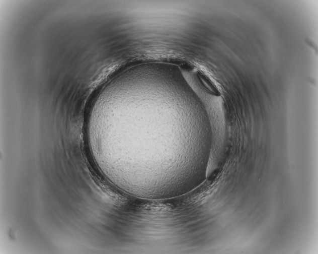 X0000096990443200802221501