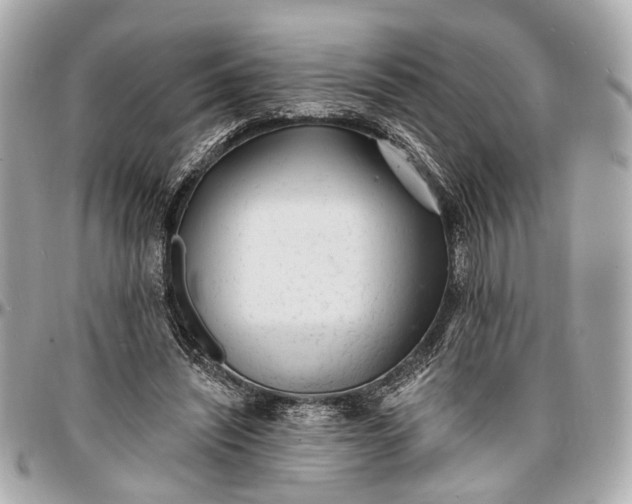 X0000096990444200802221501