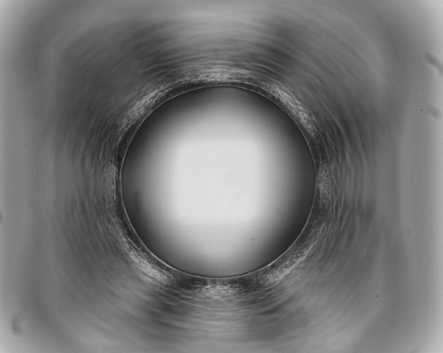 X0000096990445200802221501