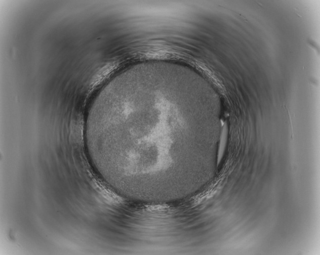 X0000096990446200802221501