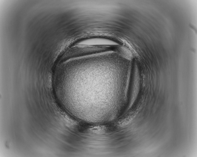 X0000096990447200802221501