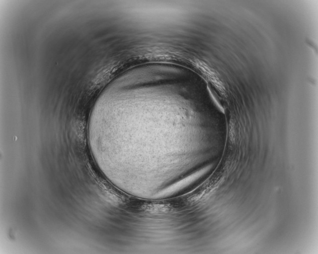 X0000096990449200802221502