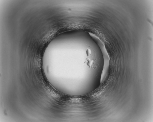 X0000096990450200802221502