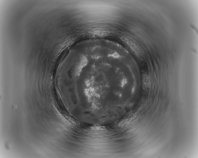 X0000096990451200802221502