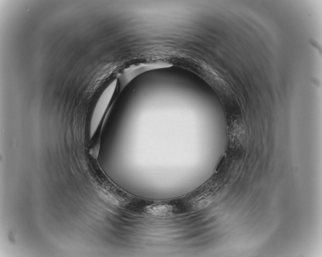 X0000096990452200802221502