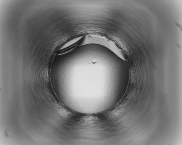 X0000096990453200802221502