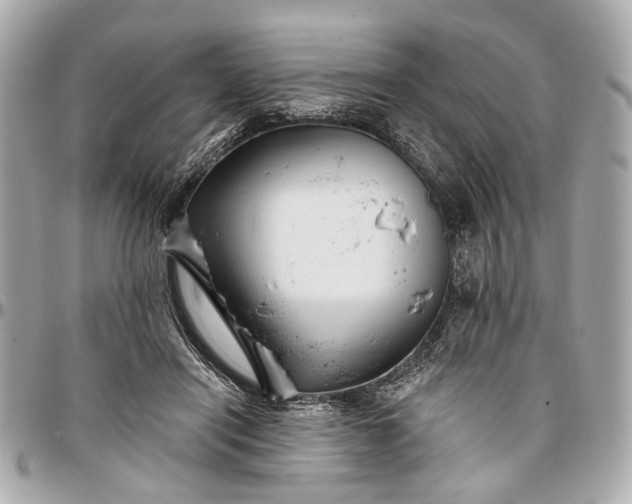 X0000096990454200802221502