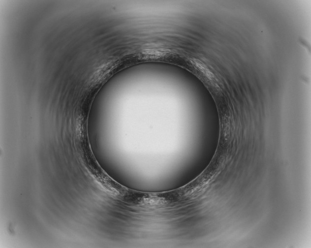 X0000096990455200802221502