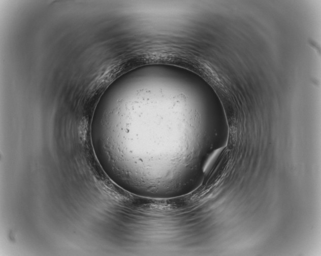 X0000096990458200802221502