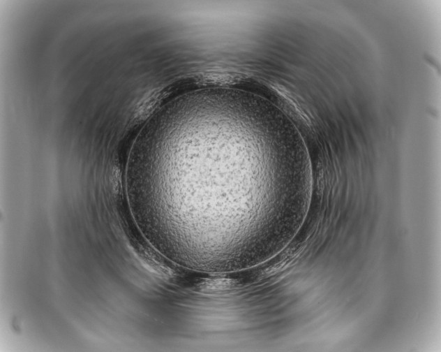 X0000096990459200802221502