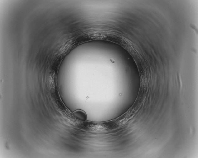 X0000096990460200802221502