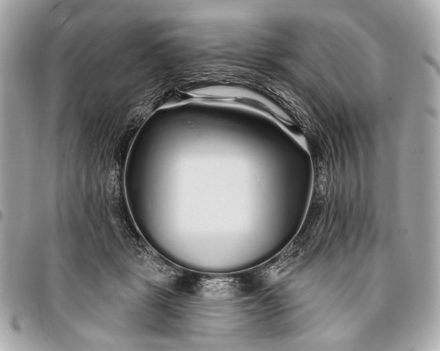 X0000096990461200802221502