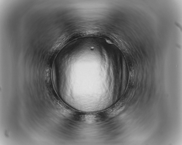 X0000096990462200802221502