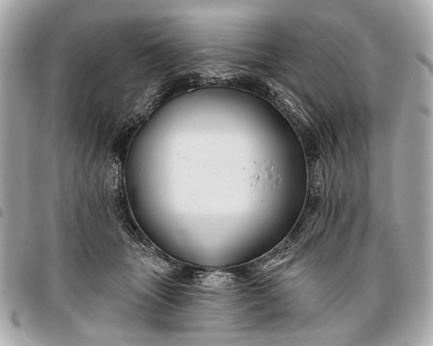 X0000096990463200802221502