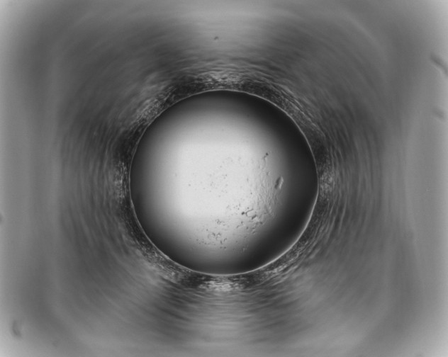 X0000096990464200802221502