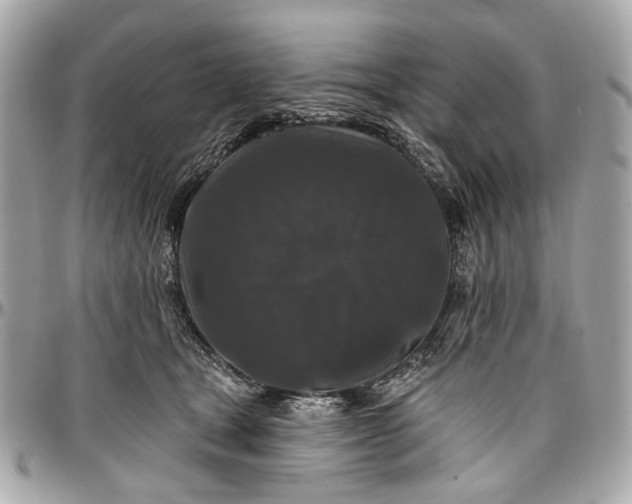 X0000096990465200802221502