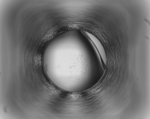 X0000096990466200802221502