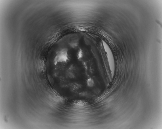 X0000096990467200802221502