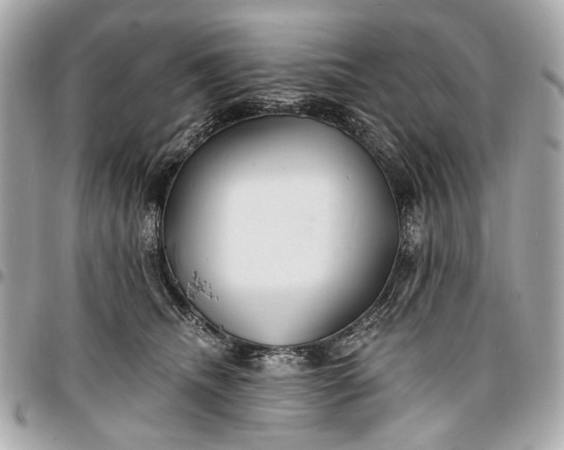 X0000096990468200802221502