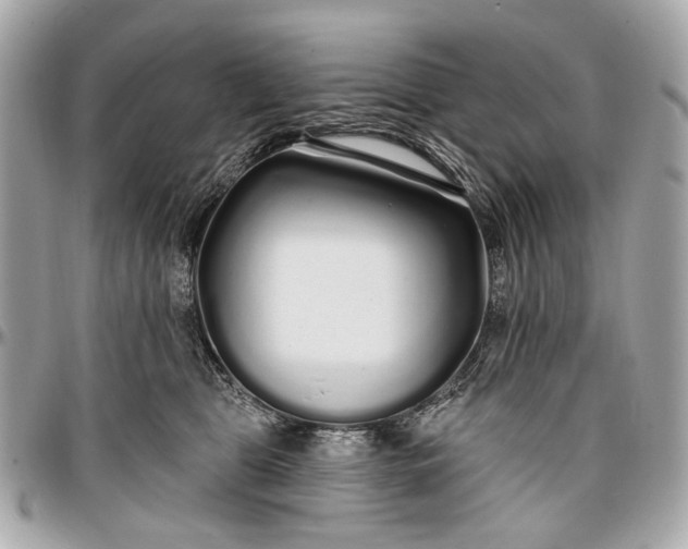 X0000096990469200802221502