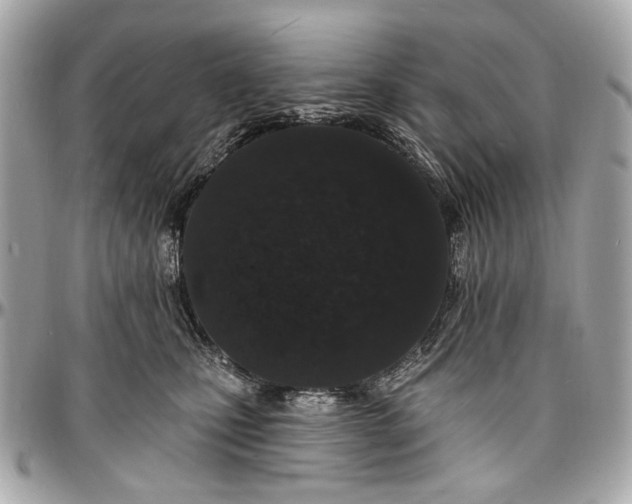 X0000096990471200802221502