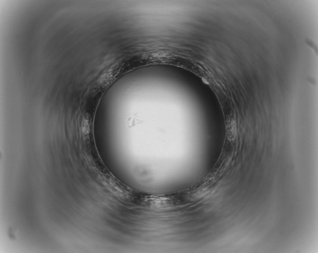 X0000096990472200802221502