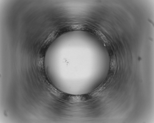 X0000096990473200802221502