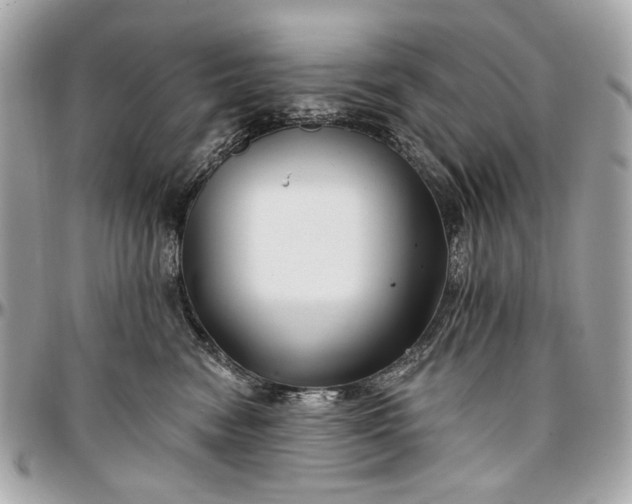 X0000096990474200802221502