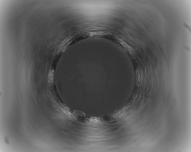 X0000096990475200802221502